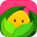 美柚孕期 ios版