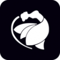 月老交友视频app