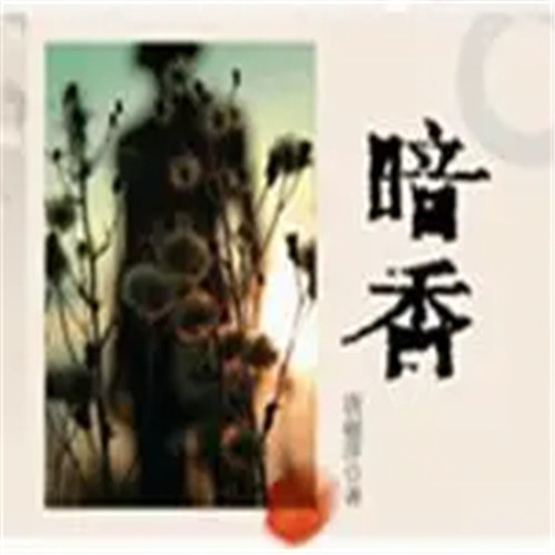 暗香影院
