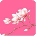 花瓣1827直播