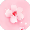 樱花青春在线入口