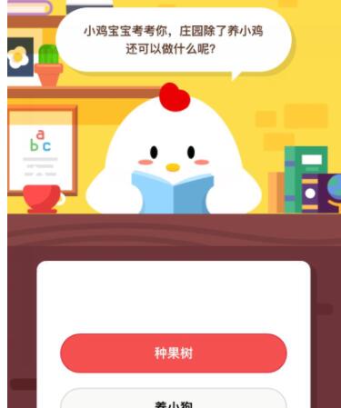园除开养小鸡还可以做什么呢?1.jpg