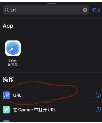 设置苹果快捷指令健康码7.jpg