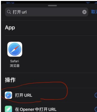 设置苹果快捷指令健康码9.jpg