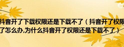 抖音打开了允许下载功能为什么还是不能下载的解决办法