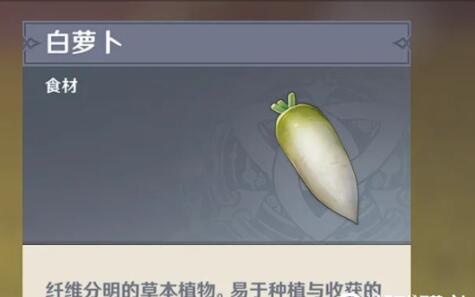 原神白萝卜在哪儿搜集？原神白萝卜在哪里买