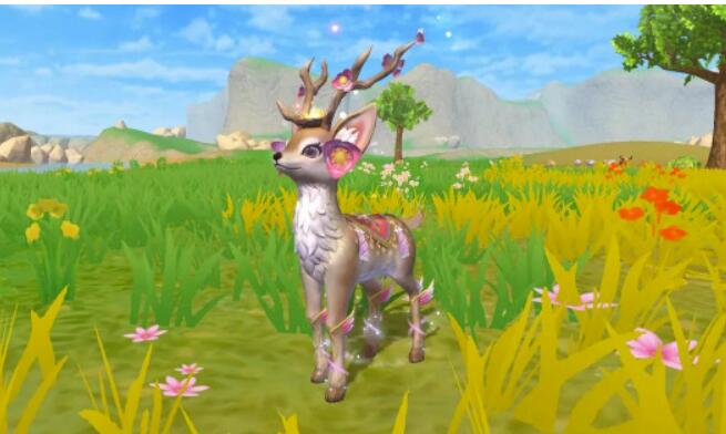 创造与魔法虎皮鲨部位在哪儿?创造与魔法虎皮鲨资质证书