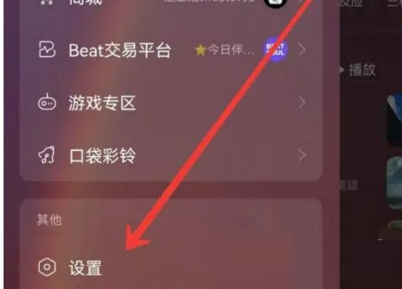 网易云音乐怎么开启流量播放?网易云音乐打开流量播放方式 