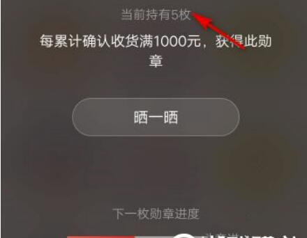 拼多多怎么查询交易总金额？拼多多在哪里看交易总金额