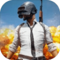 pubg正版下载2022 v2.1.0