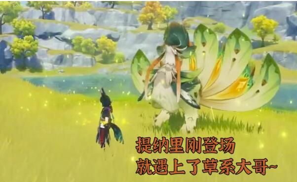 《原神》须弥版本原魔抗性曝料，翠翎恐蕈有着80%的草属性抗性！