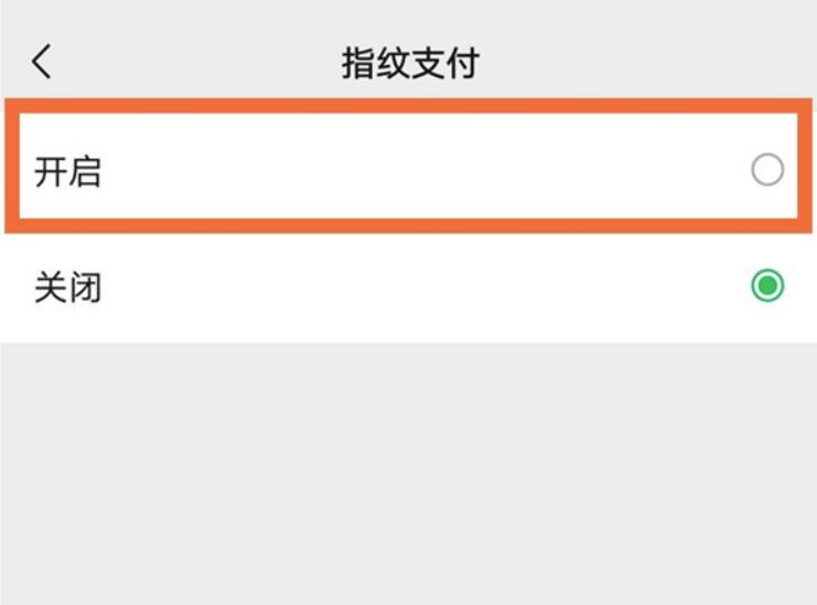 苹果13微信怎样开启指纹支付?苹果13设定微信指纹付款教程