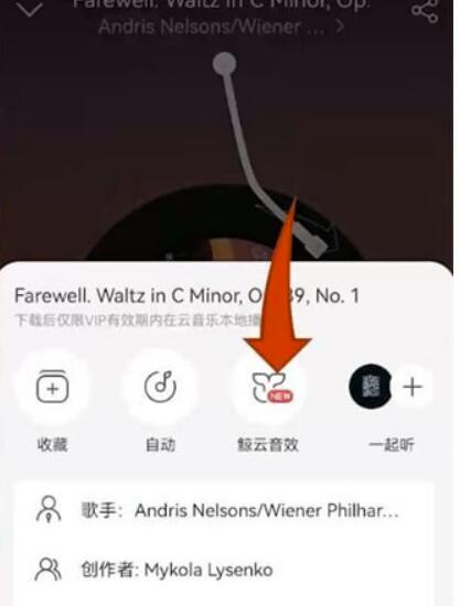网易云音乐播放界面怎么更换-网易云播放动效果如何设置