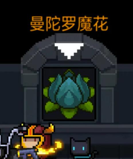 元气骑士曼陀罗花有什么用？元气骑士曼陀罗花种子是永久的吗