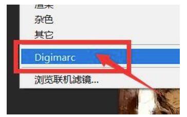Photoshop如何载入水印?Photoshop载入水印教程