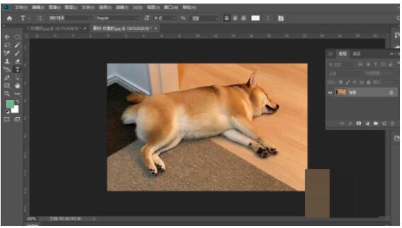 Photoshop图层样式在哪儿?Photoshop图层样式查询方式