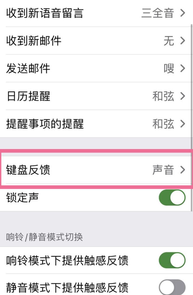 ios16打字震动设定如何操作-ios16打字震动设定操作步骤