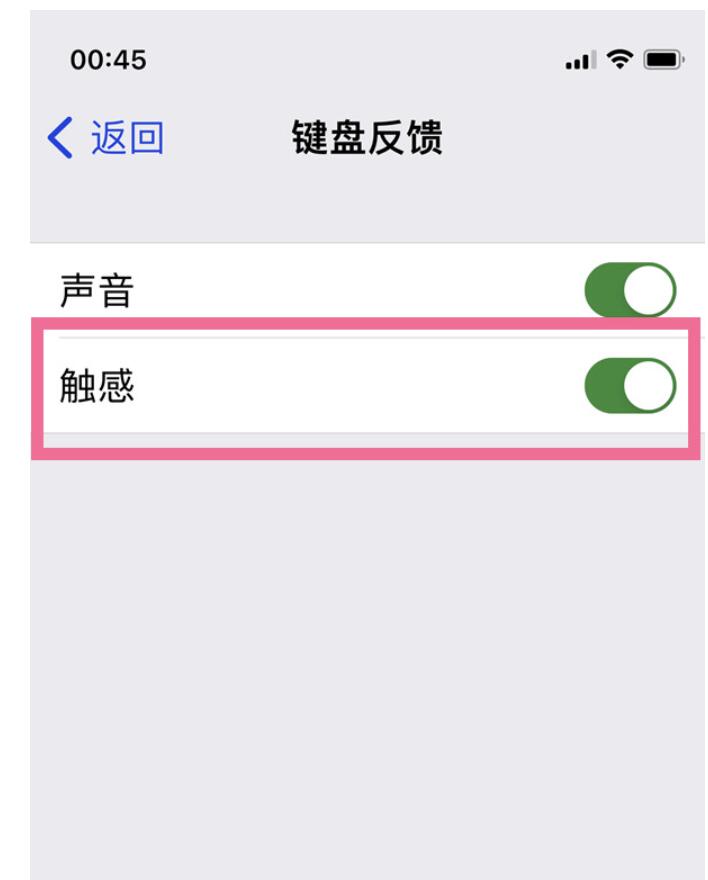 ios16打字震动设定如何操作-ios16打字震动设定操作步骤