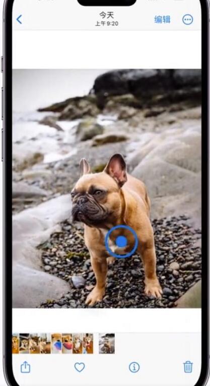 ios16抠图怎么做-ios16一键抠图实例教程流程共享