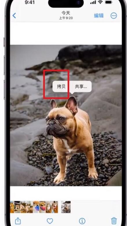 ios16抠图怎么做-ios16一键抠图实例教程流程共享