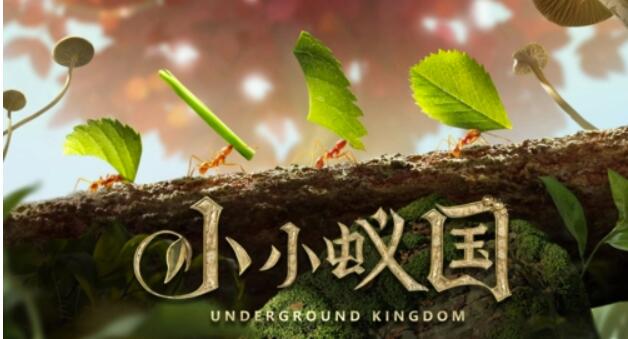 小小蚁国野外大地图如何使用操作技巧一览