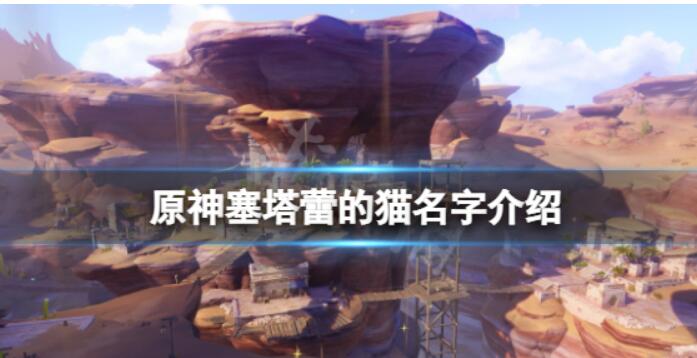 《原神》两只猫叫什么？塞塔蕾的猫名字介绍