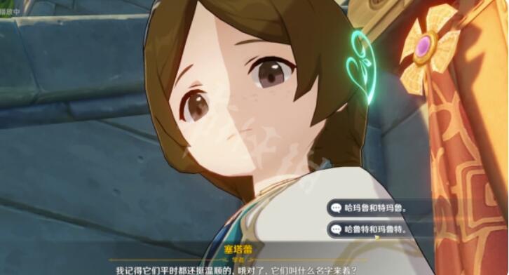 《原神》两只猫叫什么？塞塔蕾的猫名字介绍
