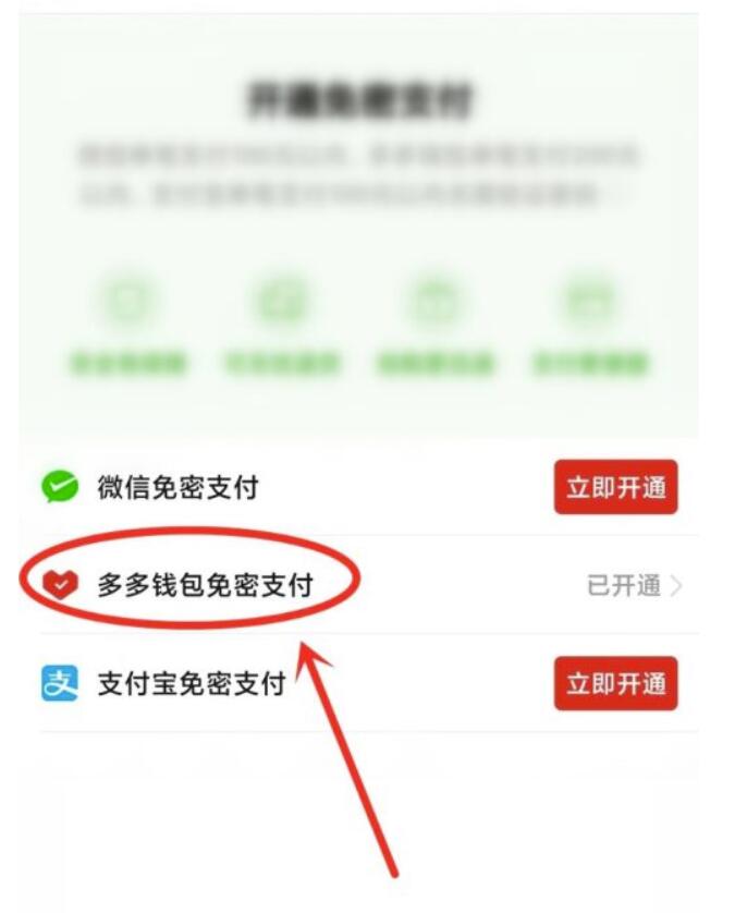 拼多多如何关闭多多钱包免密支付功能