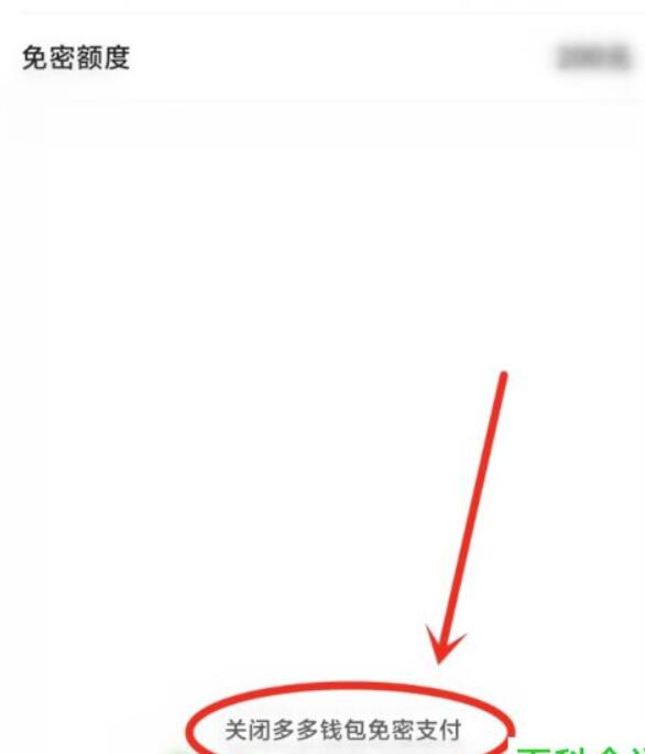 拼多多如何关闭多多钱包免密支付功能
