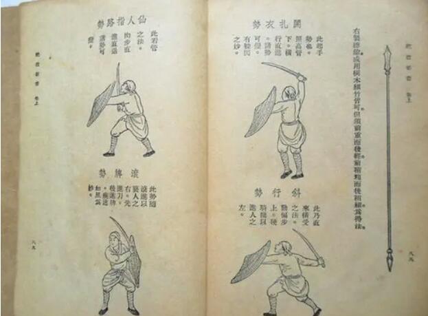 《迷失蔚蓝》「荒岛科普」刀盾：刀以制人盾以自卫