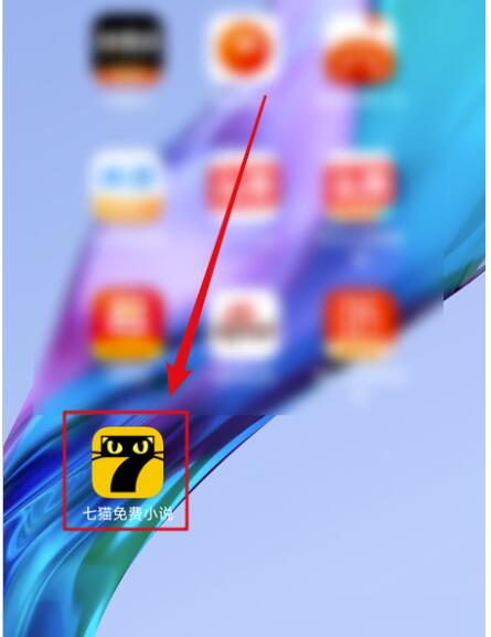 七猫免费小说如何查看隐私政策?七猫免费小说查询隐私政策教程