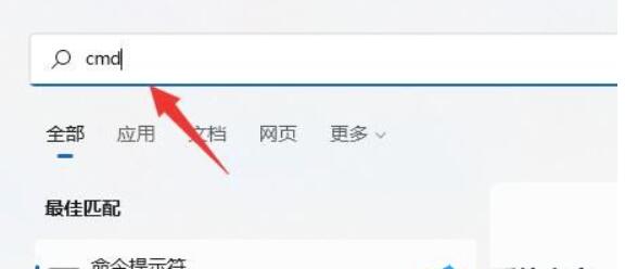 Win11硬盘读写速度很慢怎么办？Win11硬盘读写速度很慢的解决方案