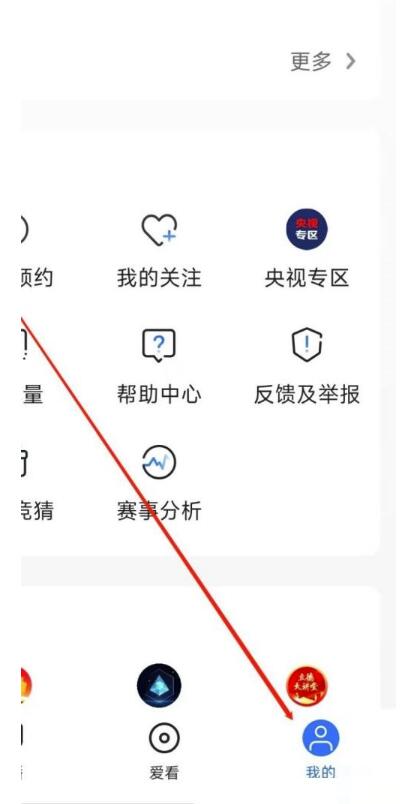 央视影音如何自动播放下一集？央视影音自动播放下一集教程