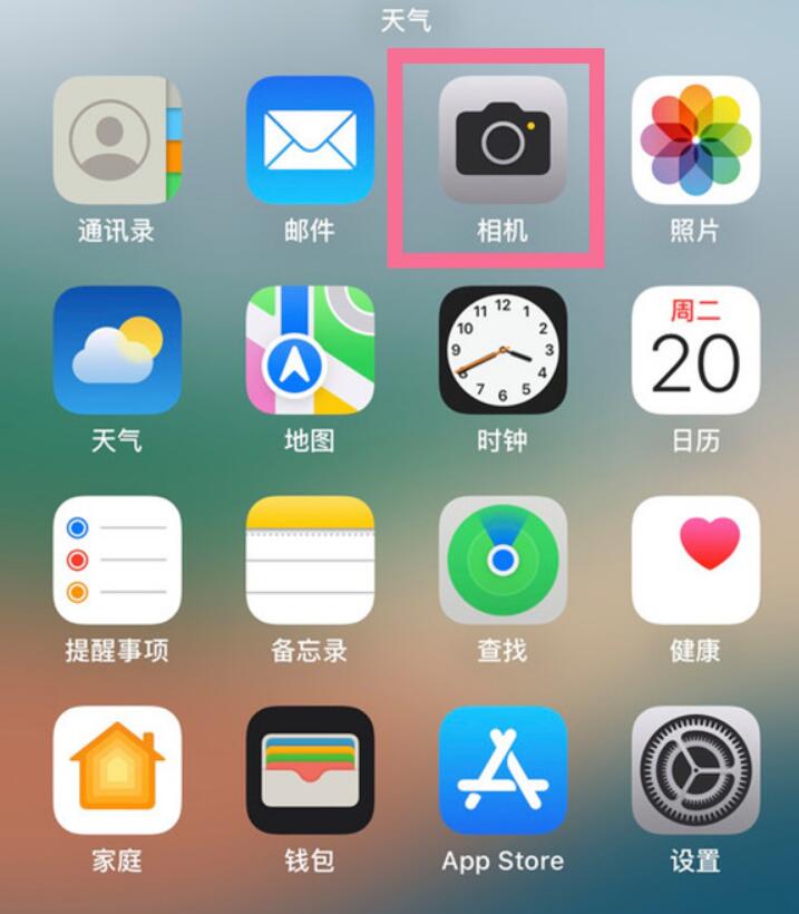 苹果14pro如何设置实况图片-iPhone14实况图片拍摄方法教学