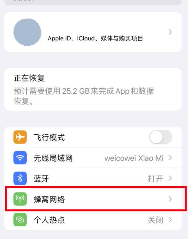 iPhone14怎么切换主副卡-苹果14设定主卡副卡方式