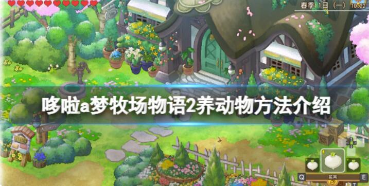 《哆啦a梦牧场物语2》如何养动物？养动物方式介绍