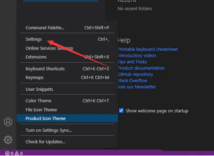 vscode如何设置lint参数允许？设定lint参数允许实例教程