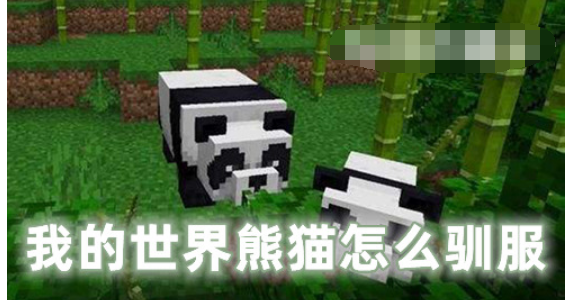 我的世界熊猫怎么驯服-我的世界熊猫有什么作用