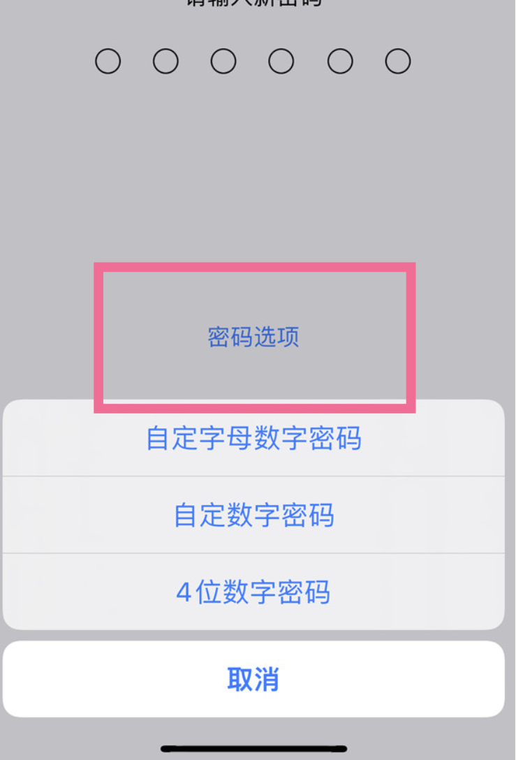 苹果14plus怎么设置4位账户密码-iPhone4个数密码管理方式共享