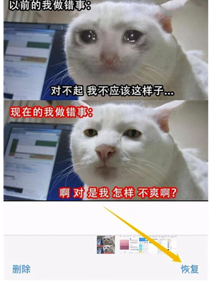 iphone在哪儿找到近期删掉的照片-iphone删除照片恢复方式