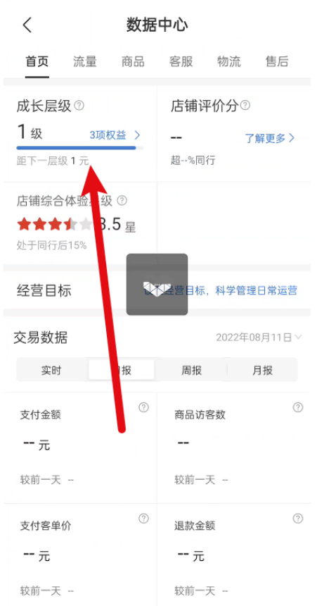 拼多多商家版成长等级在哪儿查询-拼多多商家版发展等级查询方式