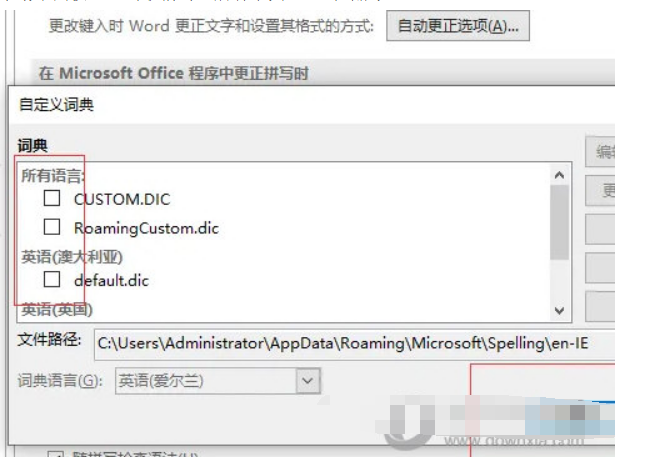 Word2021怎么取消应用带有的字典操作流程