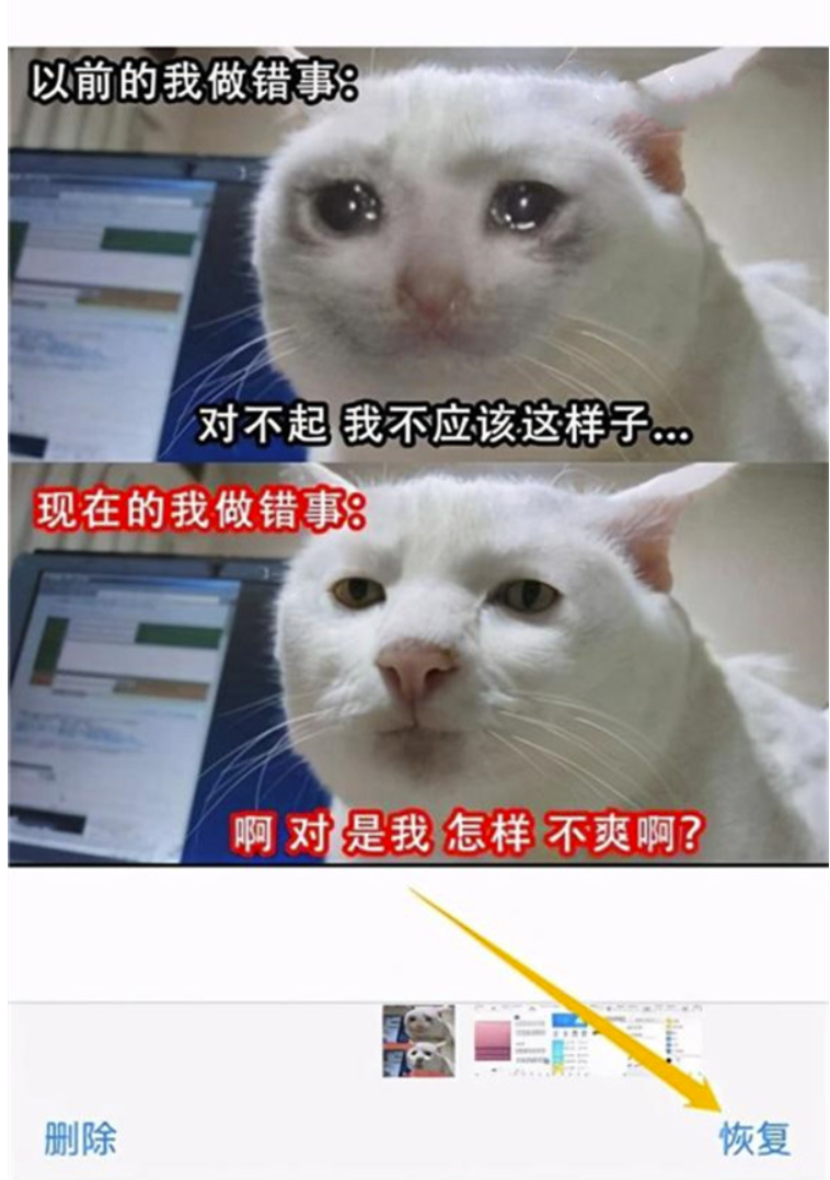 iphone在哪儿找到近期删掉的照片-iphone删除照片恢复方式