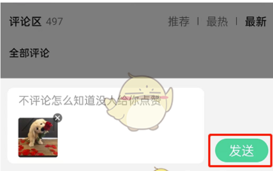 QQ音乐如何评论留言发表情包？QQ音乐评论留言发表情包的办法