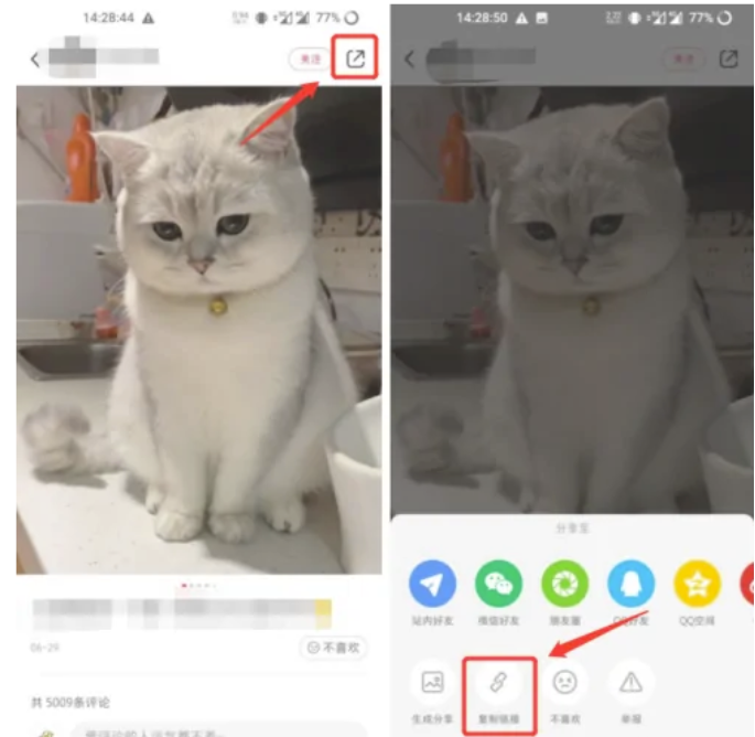 小红书如何保存无水印图片？无水印图片存图的办法