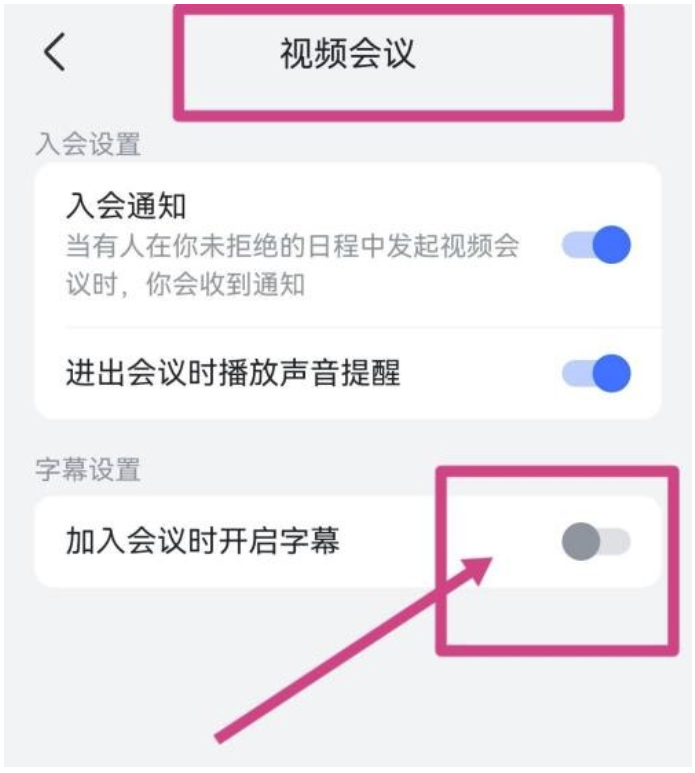 飞书在哪儿开启视频会议字幕-飞书设定视频会议字幕方式