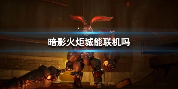 暗影火炬城能联机吗暗影火炬城游戏联机要素详细介绍