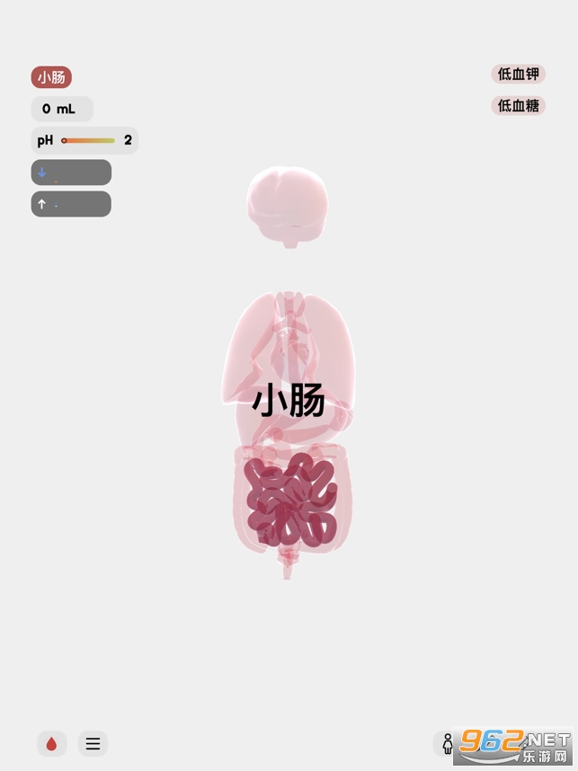 life生命模拟器汉化版v1.5.1 游戏截图7