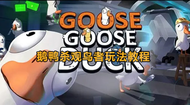 鹅鸭杀观鸟者怎么玩-鹅鸭杀观鸟者玩法教程
