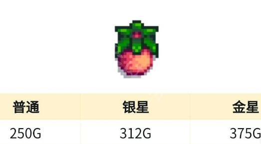 星露谷梦物语夏季种什么赚钱星露谷夏季赚钱农作物介绍
